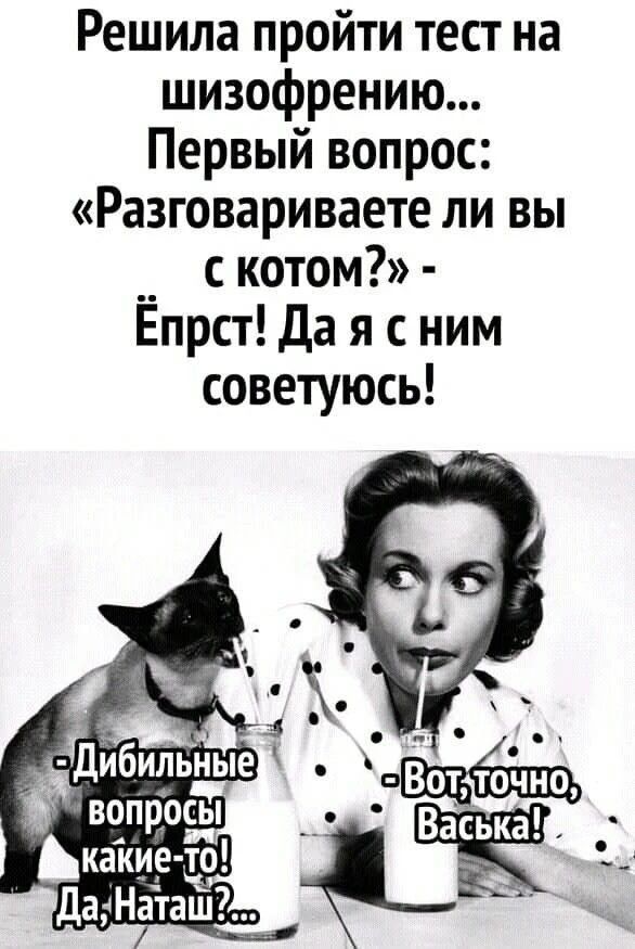 Решила пройти тест на шизофрению... Первый вопрос: «Разговариваете ли вы с котом?» - Ёпрст! Да я с ним советуюсь! - Дибильные вопросы какие-то! Да, Наташ?... - Вот, точно, Васька!