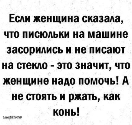 Если женщина сказала, что писюльки на машине засорились и не писают на стекло - это значит, что женщине надо помочь! А не стоять и ржать, как конь!