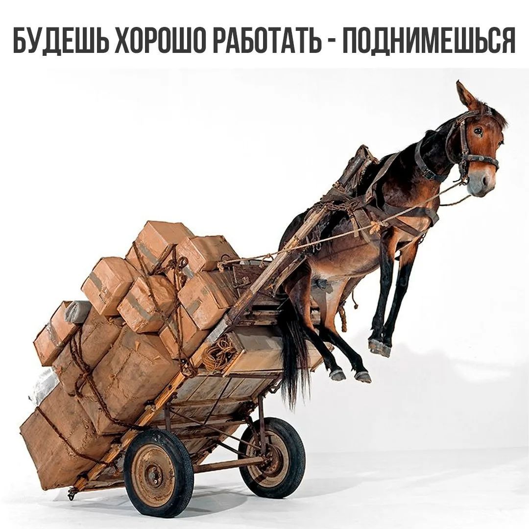 БУДЕШЬ ХОРОШО РАБОТАТЬ - ПОДНИМЕШЬСЯ