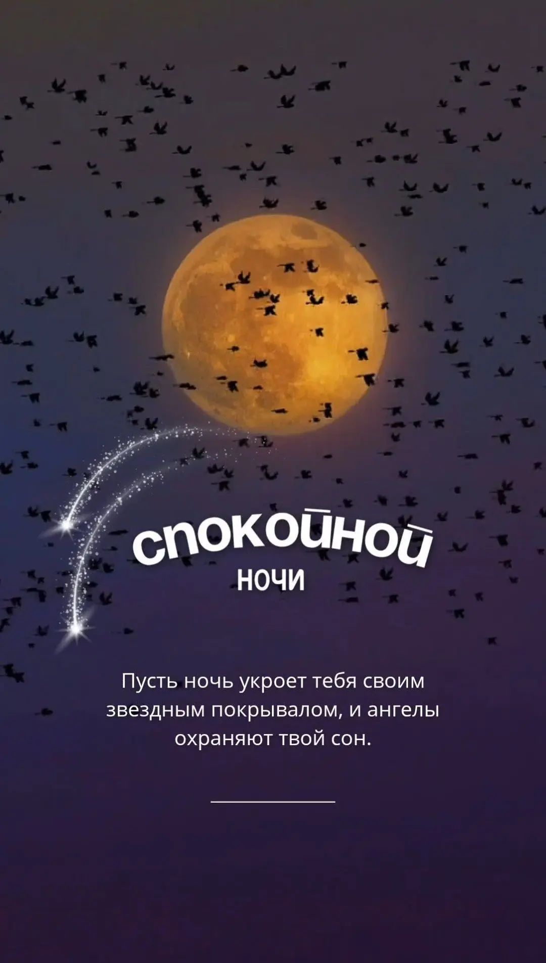 спокойной ночи Пусть ночь укроет тебя своим звездным покрывалом, и ангелы охраняют твой сон.