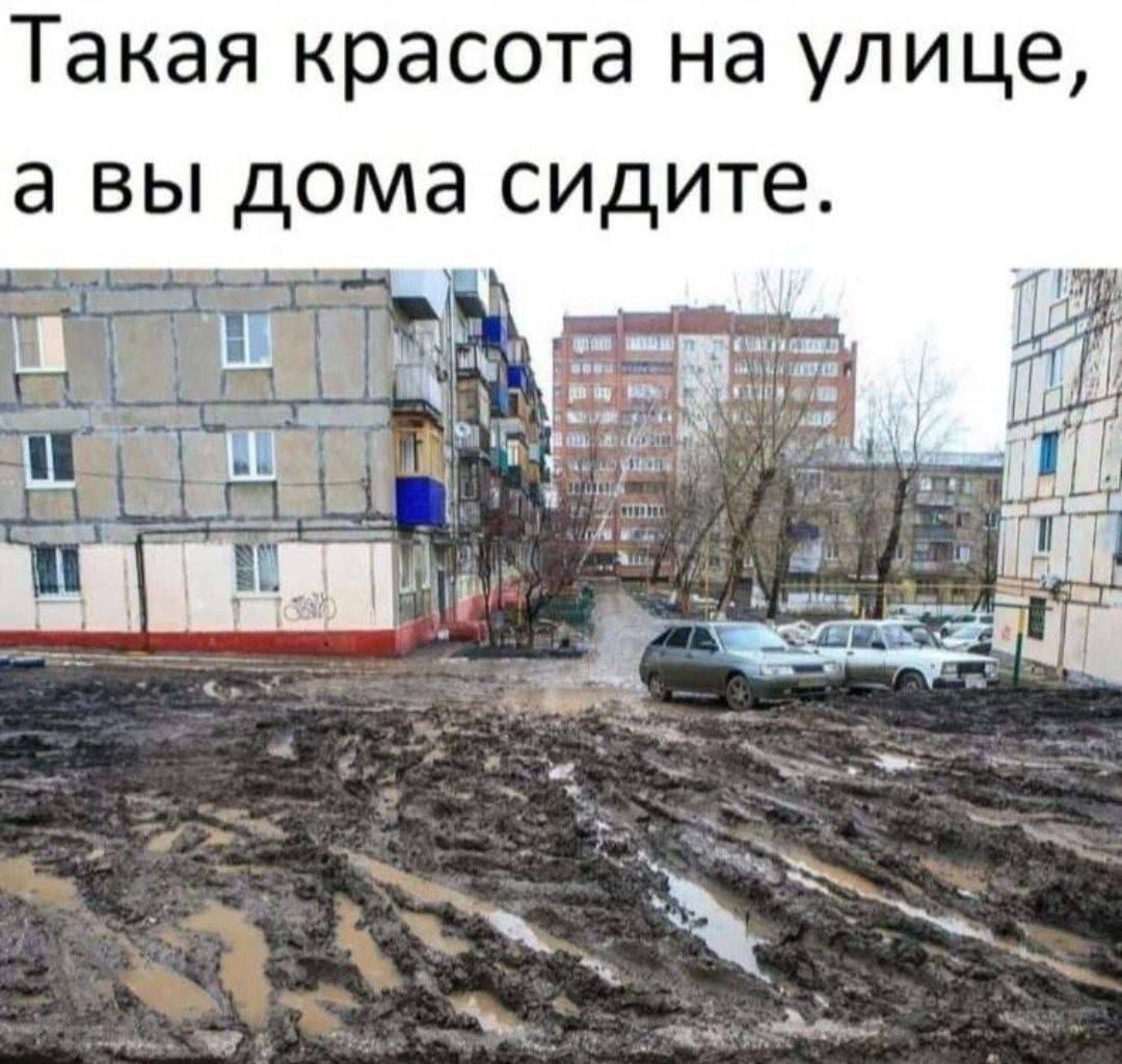 Такая красота на улице, а вы дома сидите.