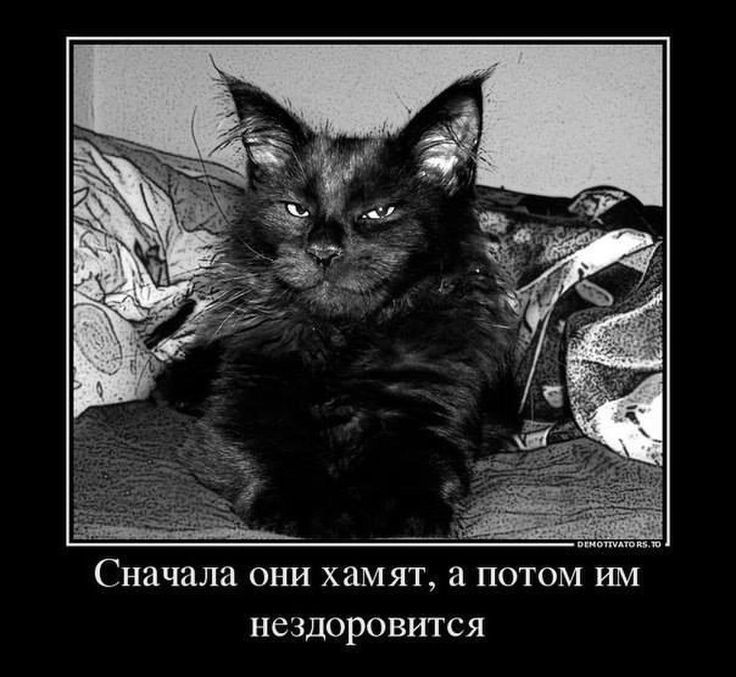 Сначала они хамят, а потом им нездоровится