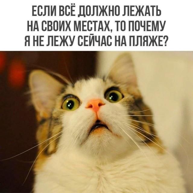 ЕСЛИ ВСЁ ДОЛЖНО ЛЕЖАТЬ НА СВОИХ МЕСТАХ, ТО ПОЧЕМУ Я НЕ ЛЕЖУ СЕЙЧАС НА ПЛЯЖЕ?