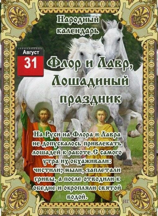 Народный календарь. Август 31. Флор и Лавр, Лошадиный праздник. На Руси на Флора и Лавра не допускалось привлекать лошадей к работе. С самого утра их обхаживали: чистили, мыли, заплетали гривы, а после отводили к обедне и окропляли святой водой.
