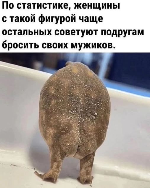 По статистике, женщины с такой фигурой чаще остальных советуют подругам бросить своих мужиков.