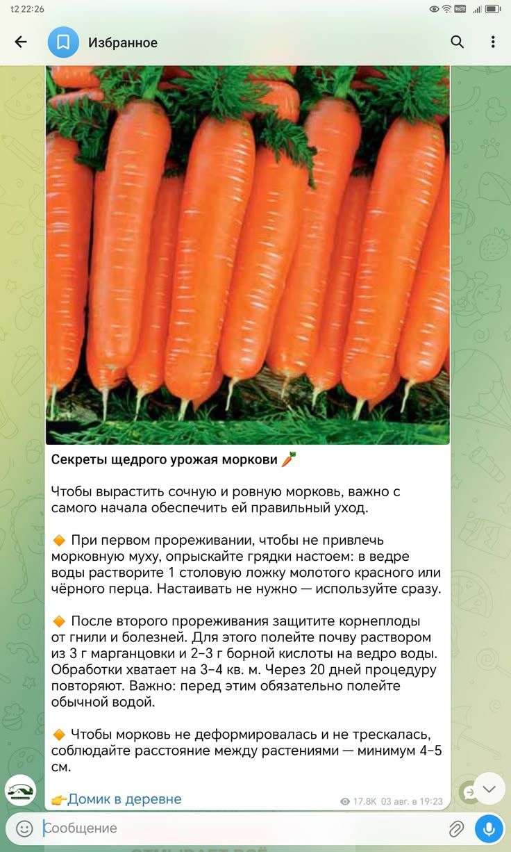 Секреты щедрого урожая моркови Чтобы вырастить сочную и ровную морковь, важно с самого начала обеспечить ей правильный уход. При первом прореживании, чтобы не привлечь морковную муху, опрыскайте грядки настоем: в ведре воды растворите 1 столовую ложку молотого красного или чёрного перца. Настаивать не нужно — используйте сразу. После второго