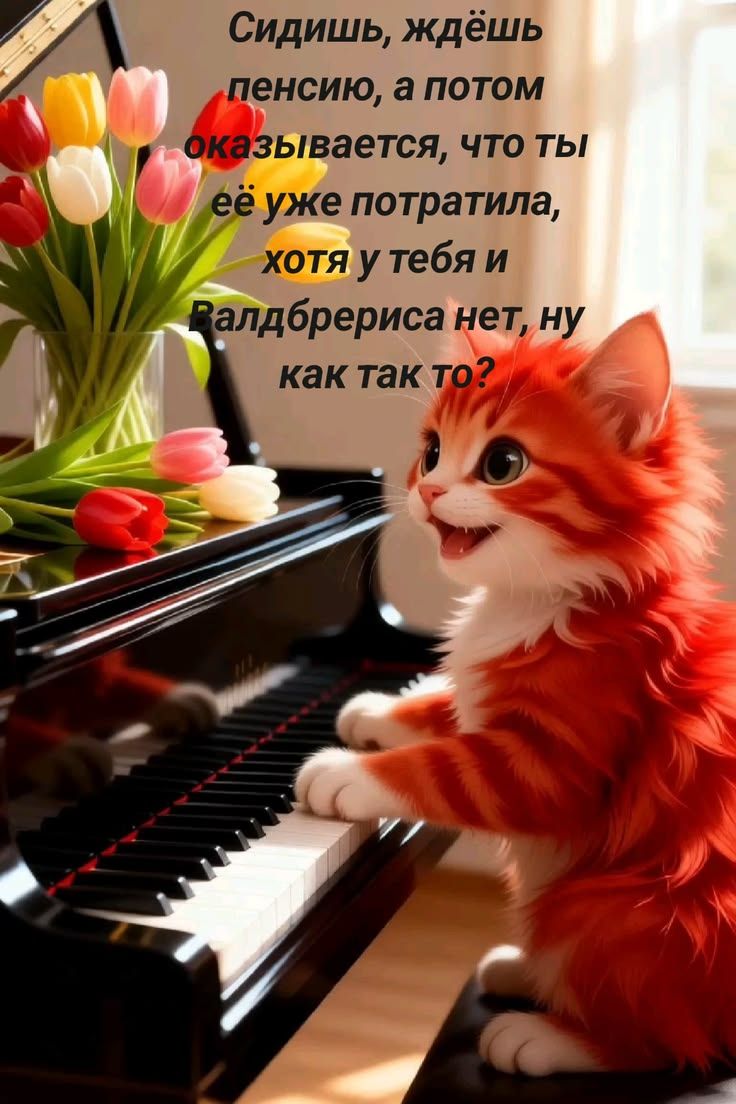 Сидишь, ждёшь пенсию, а потом оказывается, что ты её уже потратила, хотя у тебя и Валдбериса нет, ну как так то?