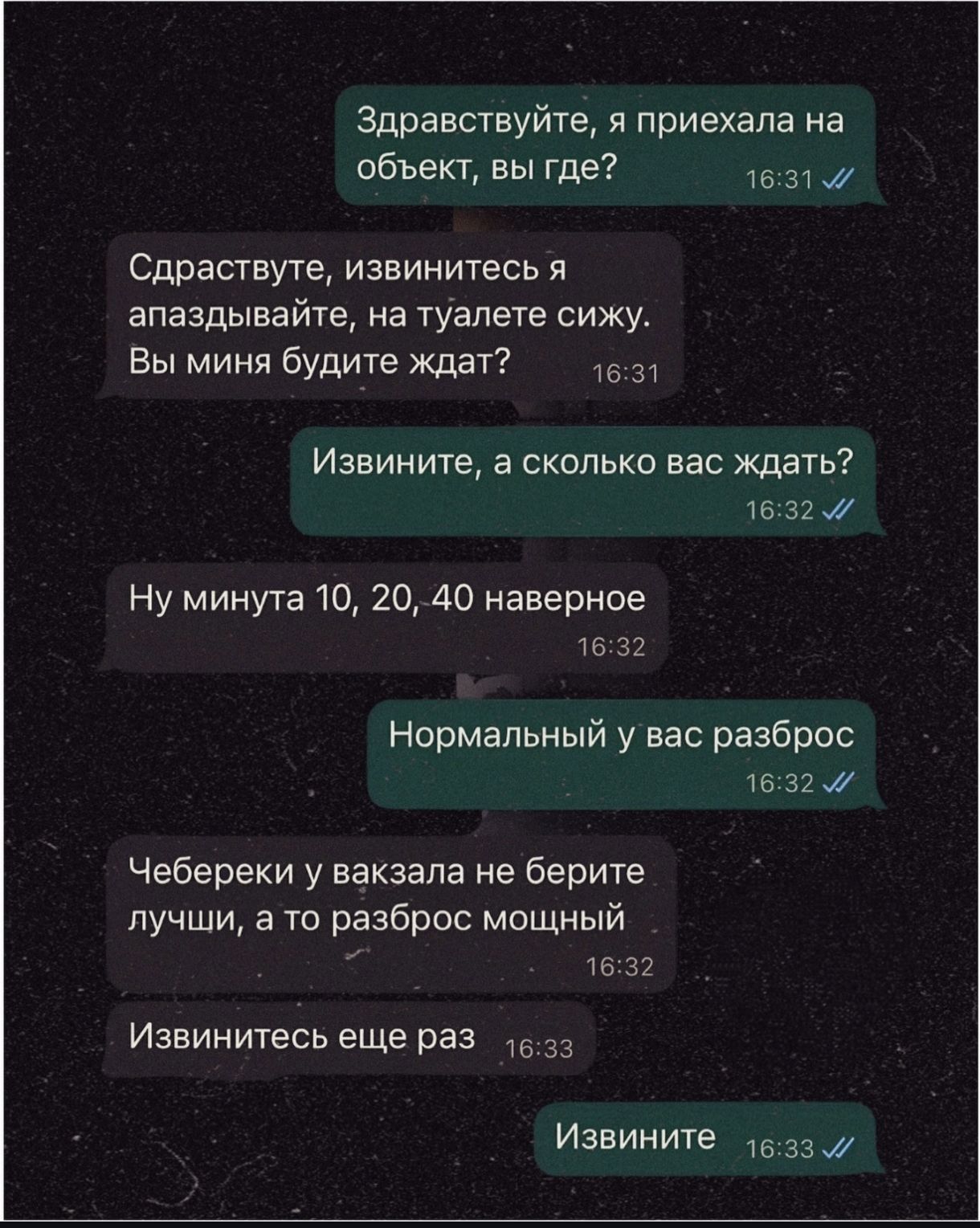 Здравствуйте, я приехала на объект, вы где? Сдраствуйте, извинитесь я апаздывайте, на туалете сижу. Вы миня будите ждать? Извините, а сколько вас ждать? Ну минута 10, 20, 40 наверное. Нормальный у вас разброс. Чебереки у вакзала не берите лучши, а то разброс мощный. Извинитесь еще раз. Извините