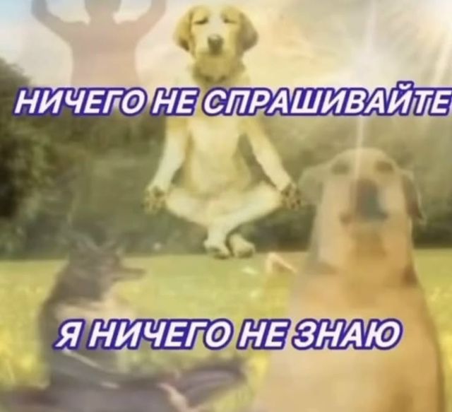 НИЧЕГО НЕ СПРАШИВАЙТЕ Я НИЧЕГО НЕ ЗНАЮ