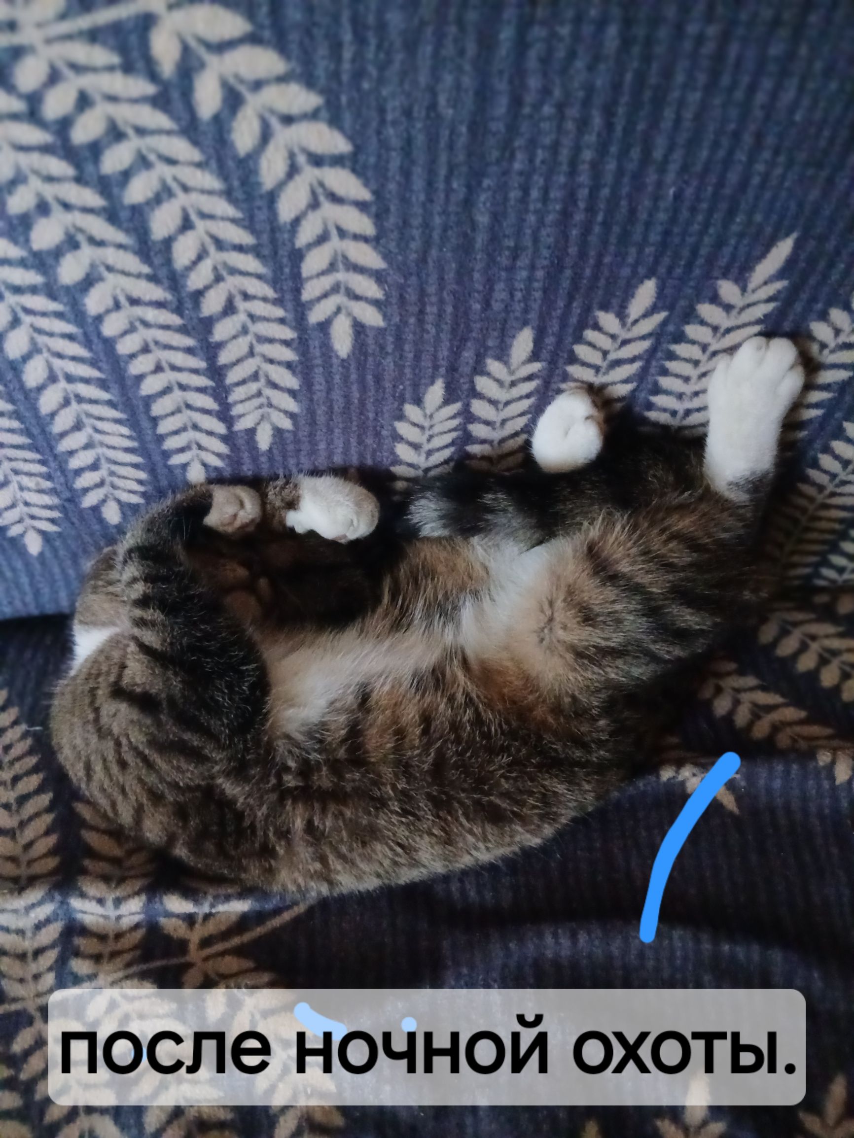 ПОСЛЕ НОЧНОЙ ОХОТЫ.