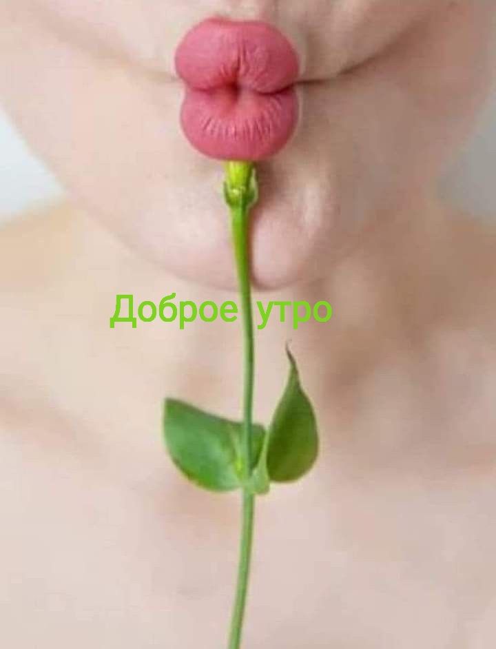 Доброе утро