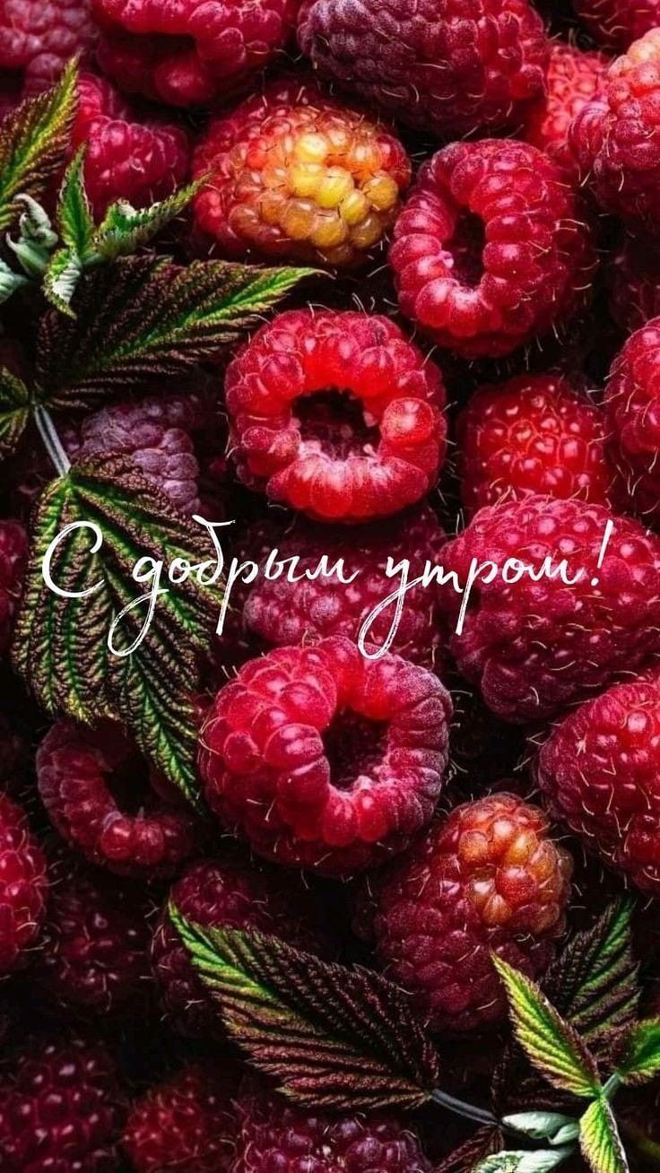 С добрым утром!