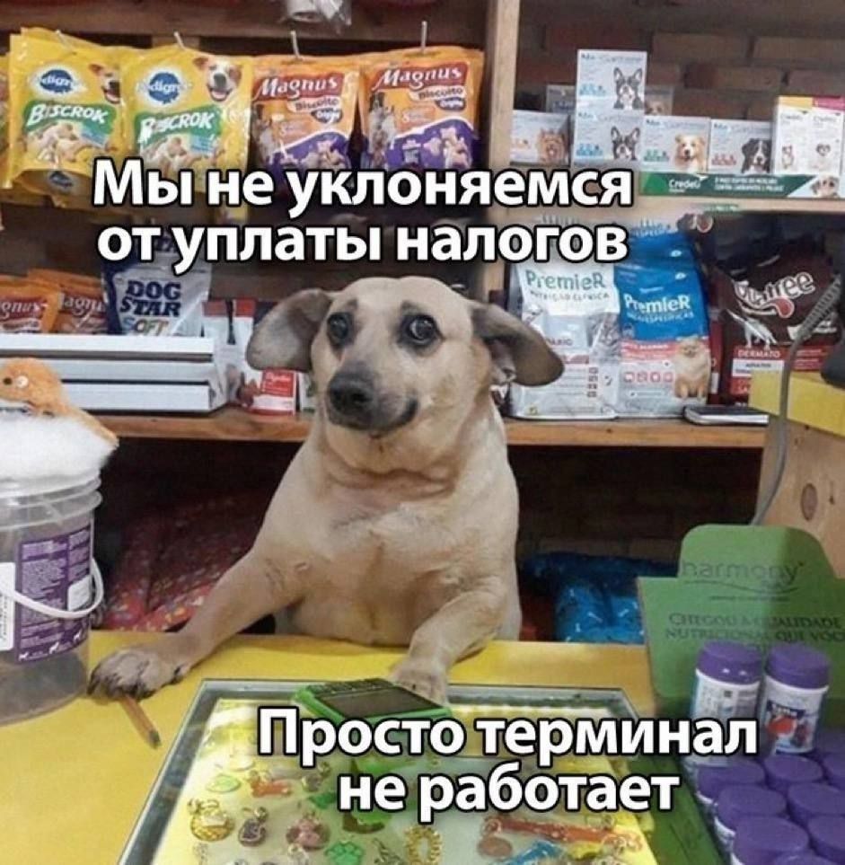Мы не уклоняемся от уплаты налогов. Просто терминал не работает.