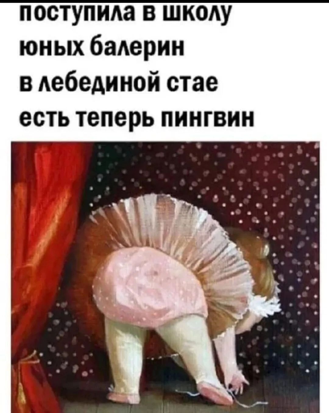 поступила в школу юных балерин в лебединой стае есть теперь пингвин