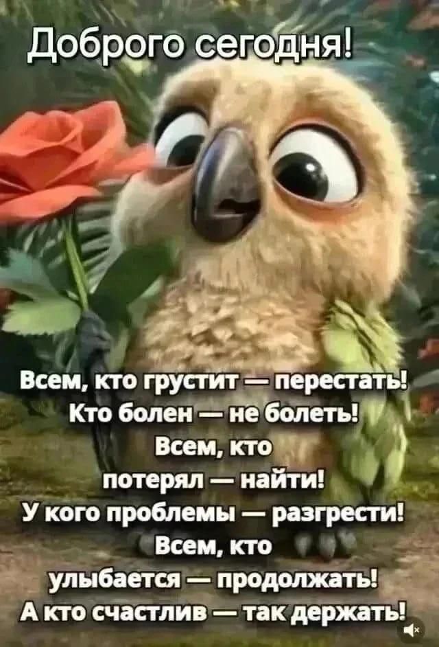 Доброго сегодня! Всем, кто грустит — перестать! Кто болен — не болеть! Всем, кто потерял — найти! У кого проблемы — разгрести! Всем, кто улыбается — продолжать! А кто счастлив — так держать!