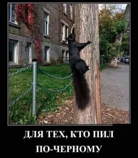 ДЛЯ ТЕХ, КТО ПИЛ ПО-ЧЕРНОМУ