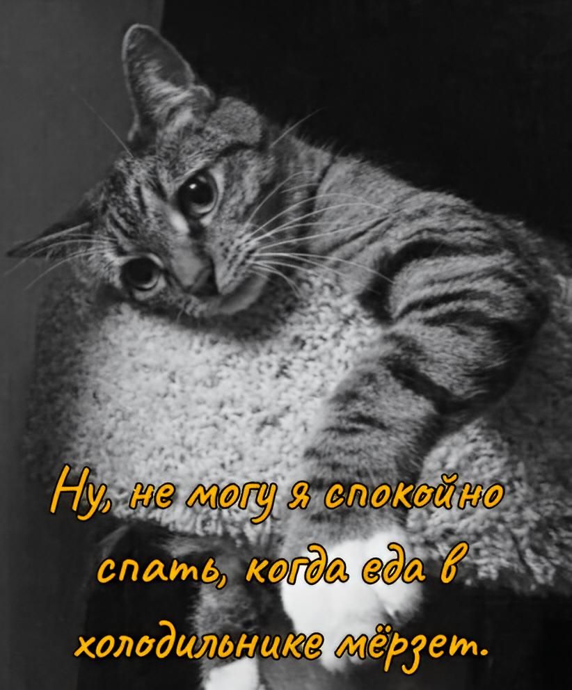Ну, не могу я спокойно спать, когда еда в холодильнике мёрзет.