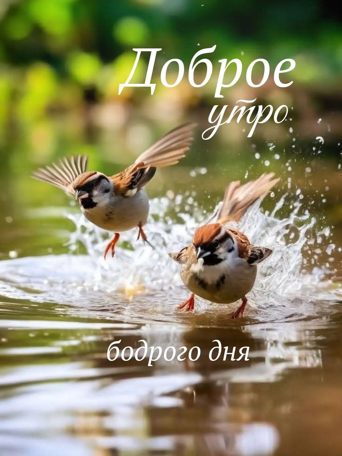 Доброе утро. бодрого дня.