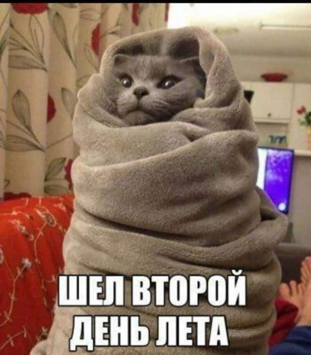 ШЕЛ ВТОРОЙ ДЕНЬ ЛЕТА