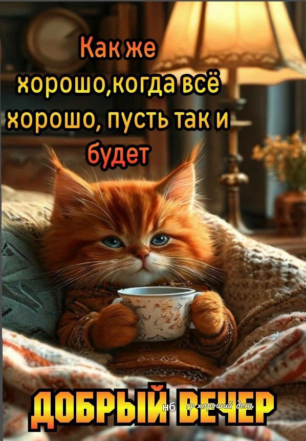 Как же хорошо, когда всё хорошо, пусть так и будет ДОБРЫЙ ВЕЧЕР