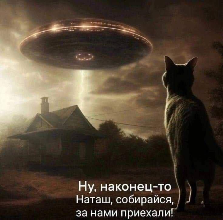 Ну, наконец-то Наташ, собирайся, за нами приехали!