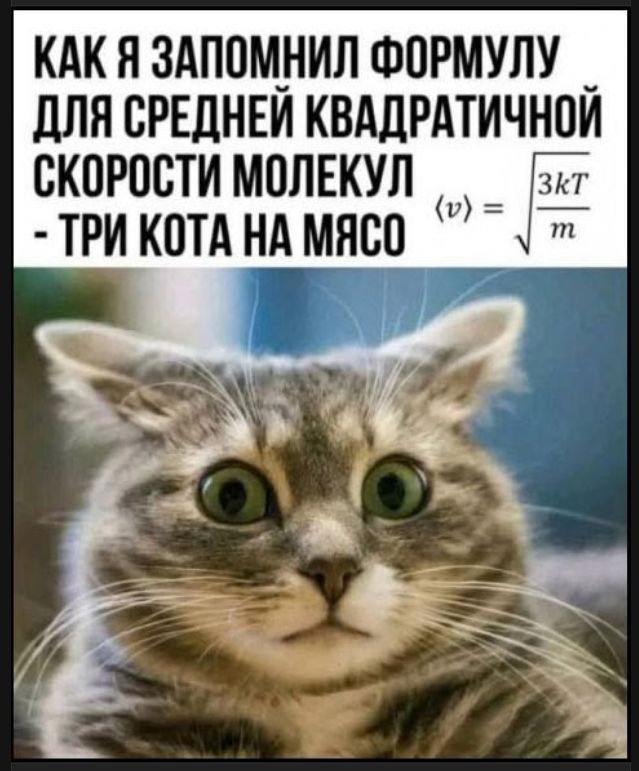 КАК Я ЗАПОМНИЛ ФОРМУЛУ ДЛЯ СРЕДНЕЙ КВАДРАТИЧНОЙ СКОРОСТИ МОЛЕКУЛ - ТРИ КОТА НА МЯСО <v> = sqrt(3kT/m)