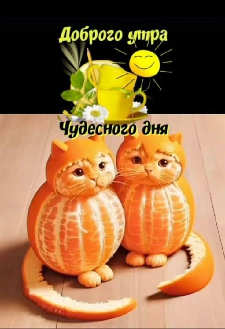Доброго утра Чудесного дня