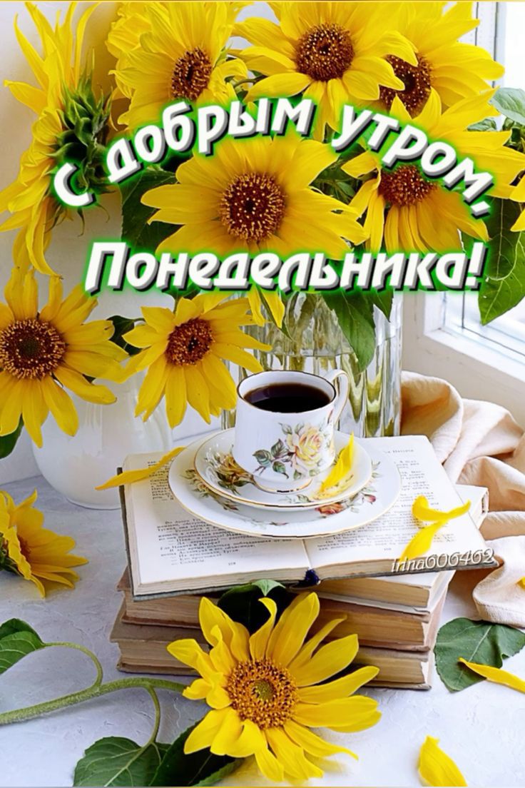 С добрым утром, Понедельника!