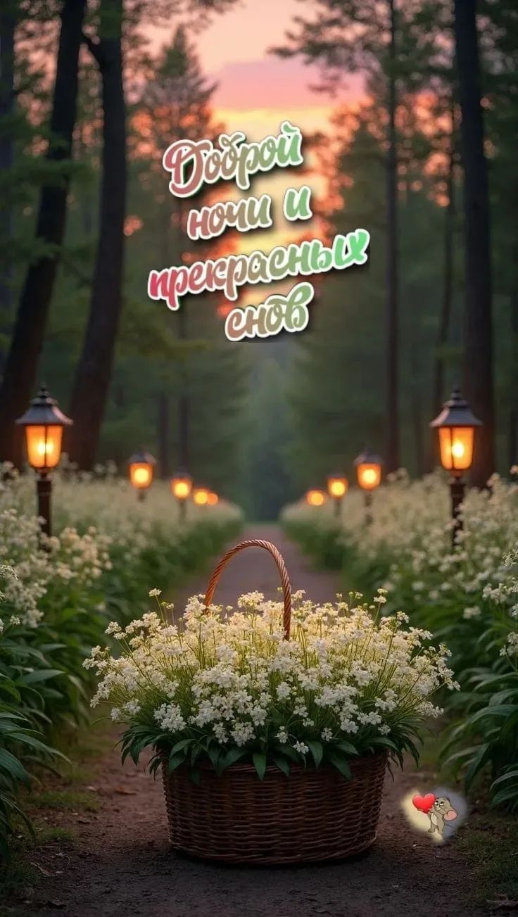 Доброй ночи и прекрасных снов