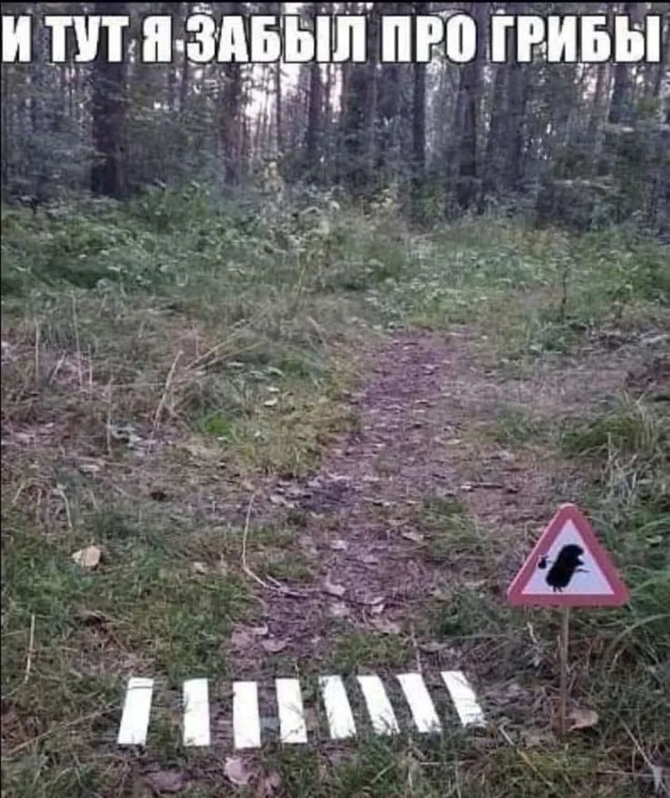 И ТУТ Я ЗАБЫЛ ПРО ГРИБЫ