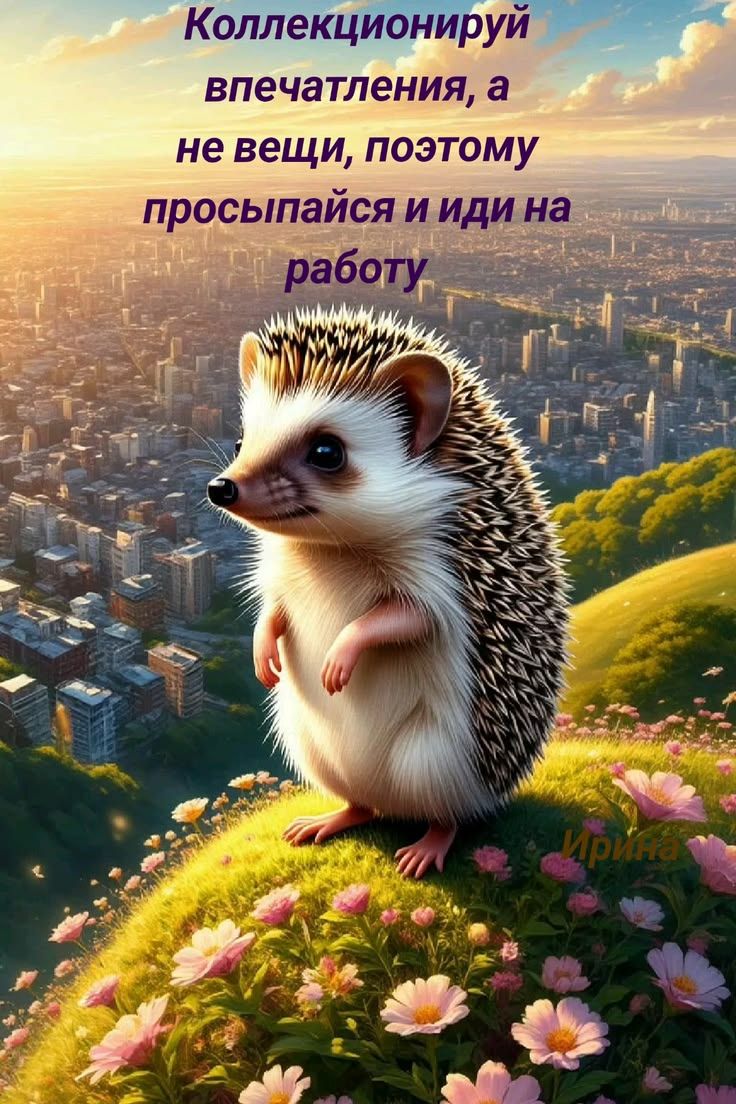 Коллекционируй впечатления, а не вещи, поэтому просыпайся и иди на работу