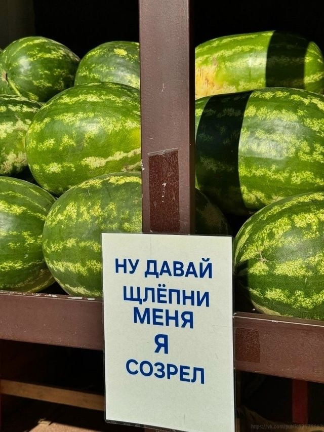 НУ ДАВАЙ ЩЛЁПНИ МЕНЯ Я СОЗРЕЛ