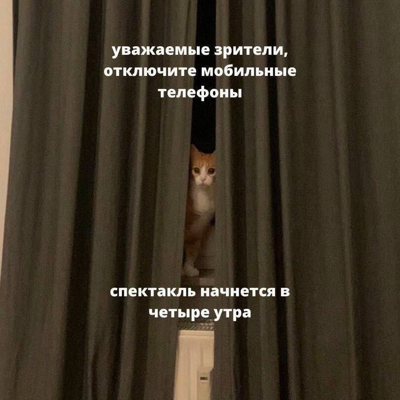 уважаемые зрители, отключите мобильные телефоны спектакль начнется в четыре утра