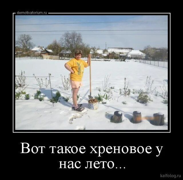 Вот такое хреновое у нас лето...