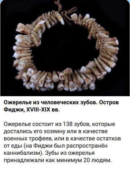 Ожерелье из человеческих зубов. Остров Фиджи, XVIII-XIX вв. Ожерелье состоит из 138 зубов, которые достались его хозяину или в качестве военных трофеев, или в качестве остатков от еды (на Фиджи был распространён каннибализм). Зубы из ожерелья принадлежали как минимум 20 людям.