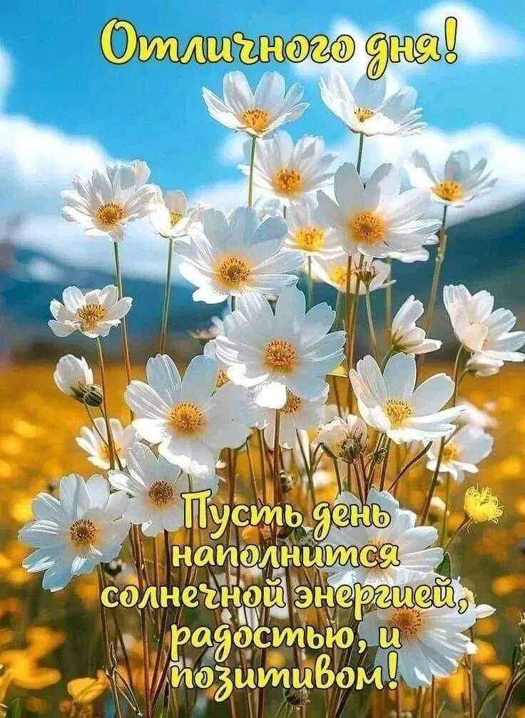 Отличного дня! Пусть день наполнится солнечной энергией, радостью и позитивом!