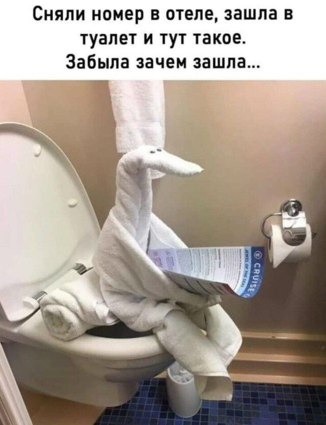 Сняли номер в отеле, зашла в туалет и тут такое. Забыла зачем зашла...