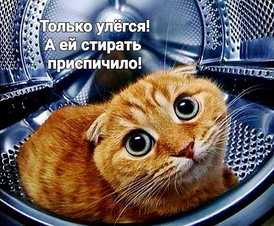 Только улёгся! А ей стирать приспичило!