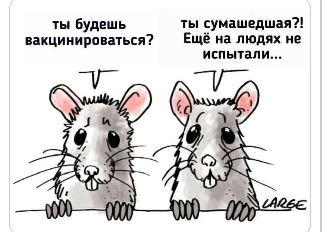 ты будешь вакцинироваться? ты сумасшедшая?! Ещё на людях не испытали...