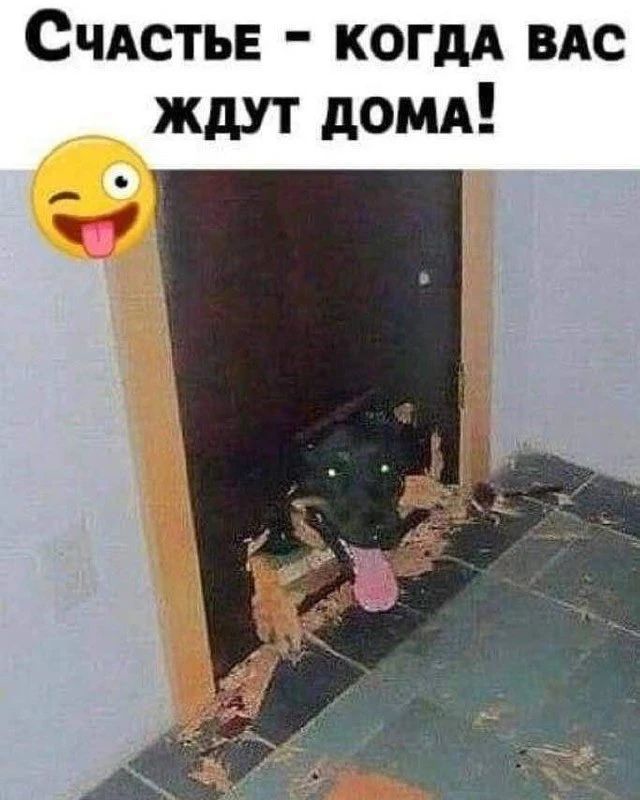 Счастье - когда вас ждут дома!