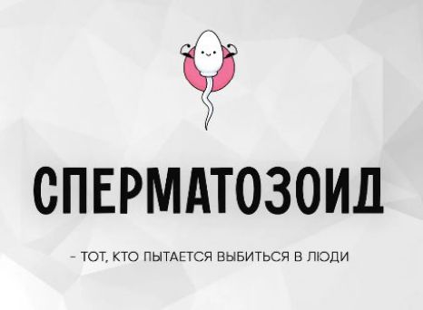 СПЕРМАТОЗОИД - Тот, кто пытается выбиться в люди