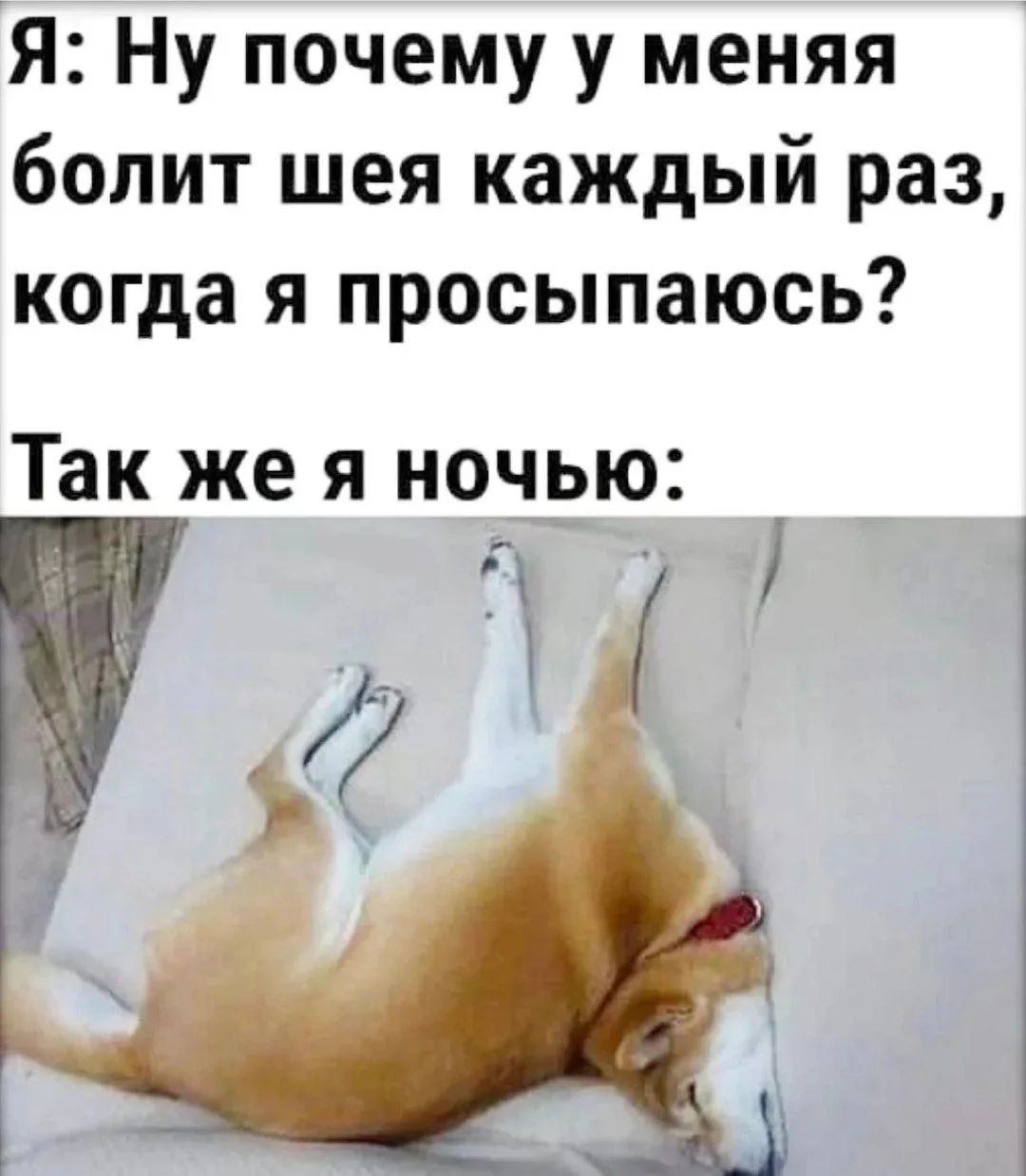Я: Ну почему у меня болит шея каждый раз, когда я просыпаюсь? Так же я ночью: