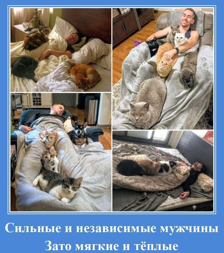 Сильные и независимые мужчины Зато мягкие и тёплые