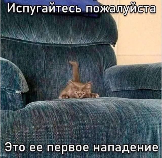 Испугайтесь пожалуйста. Это ее первое нападение