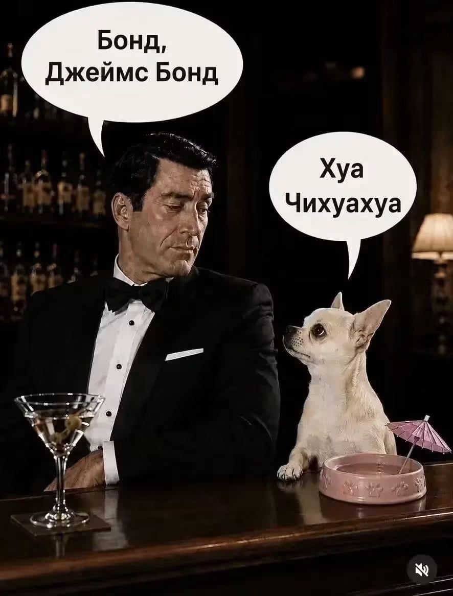 Бонд, Джеймс Бонд. Хуя Чихуахуа