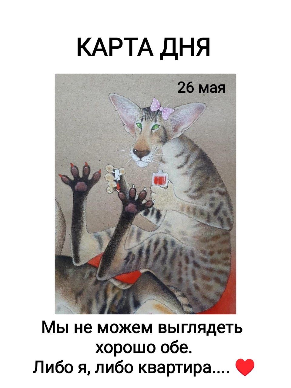КАРТА ДНЯ 26 мая Мы не можем выглядеть хорошо обе. Либо я, либо квартира....