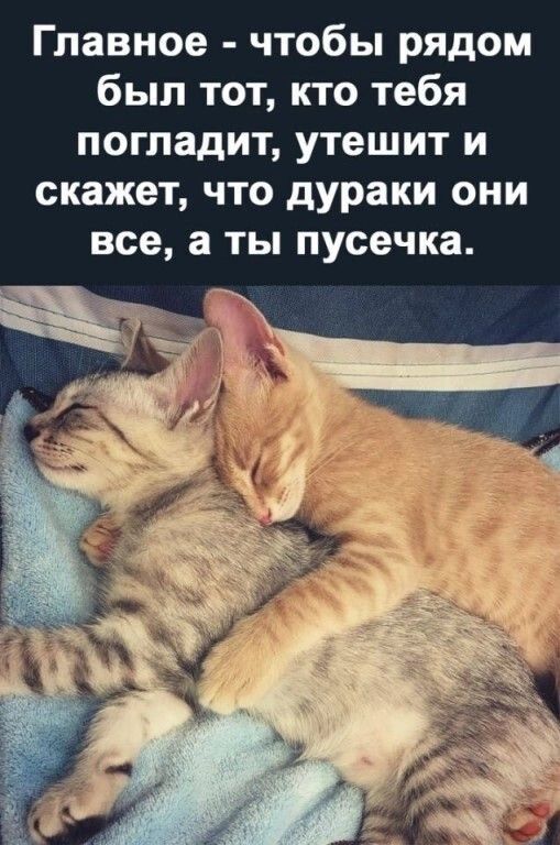 Главное - чтобы рядом был тот, кто тебя погладит, утешит и скажет, что дураки они все, а ты пусечка.