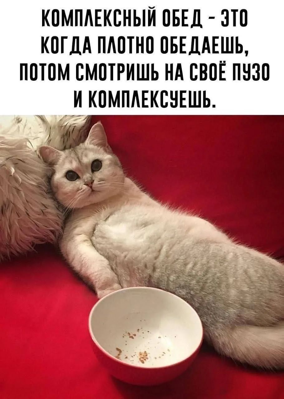 КОМПЛЕКСНЫЙ ОБЕД - ЭТО КОГДА ПЛОТНО ОБЕДАЕШЬ, ПОТОМ СМОТРИШЬ НА СВОЁ ПУЗО И КОМПЛЕКСУЕШЬ.