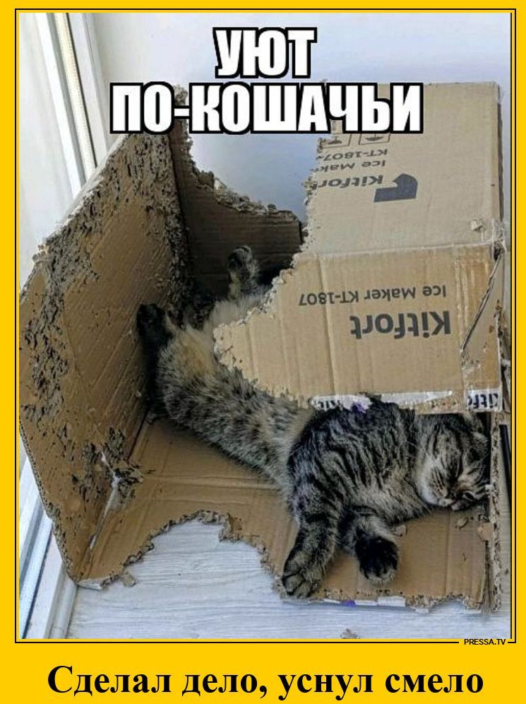УЮТ ПО-КОШАЧЬИ. Сделал дело, уснул смело