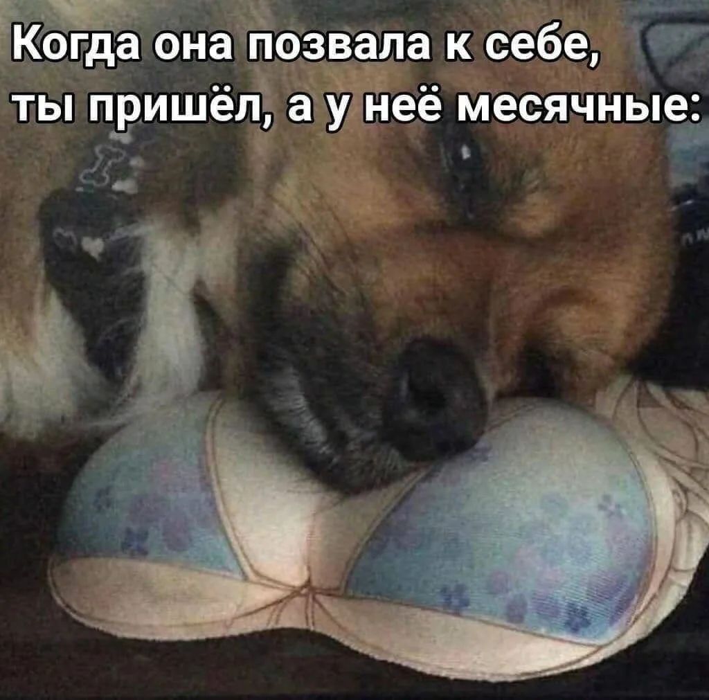 Когда она позвала к себе, ты пришёл, а у неё месячные: